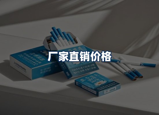 专业团队办公环境